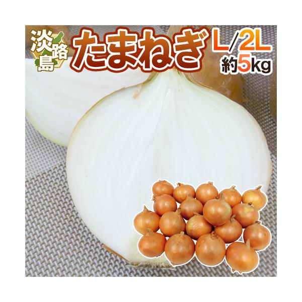 たまねぎのブランド！淡路島産たまねぎ！コク深く、火を通すと甘味が出る♪柔らかくて食べやすいたまねぎ♪/玉葱/タマネギ/玉ねぎ/玉ネギ/5キロ/爆買