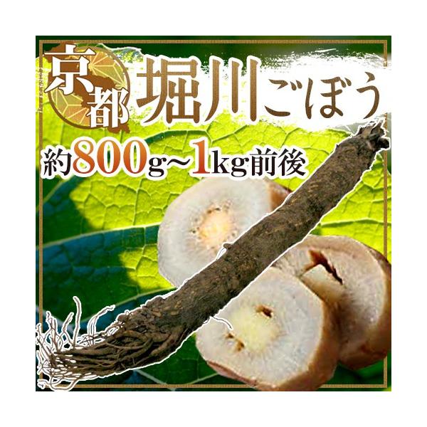 s{ hx삲ڂh 800g`1kgOy\ 12ȍ~z