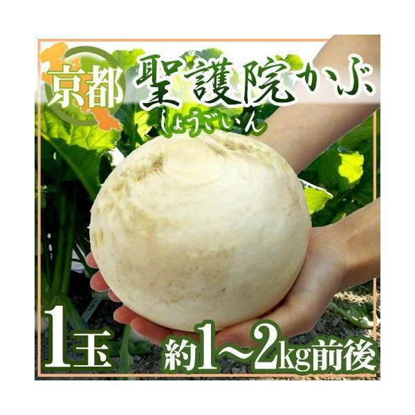 hs{ @Ԃh 1 1`2kgOy\ 11{ȍ~z