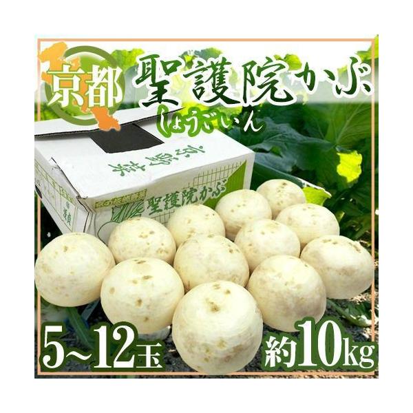 s{ h@Ԃh 5`12 10kgy\ 11{ȍ~z 