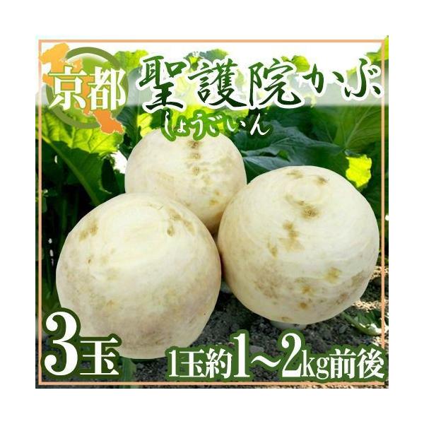 hs{ @Ԃh 3ʁi1ʏdʖ1`2kgOjy\ 11{ȍ~z 