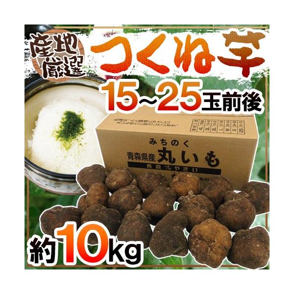 YnI hˈER̈h 15`25ʑO 10kg R/a/܂y\ 11ȍ~z 