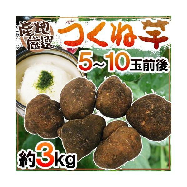 YnI hˈER̈h 5`10ʑO 3kg R/a/܂y\ 11ȍ~z 