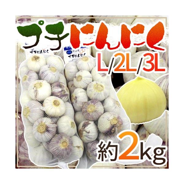 hv`ɂɂh L/2L/3L 2kg 