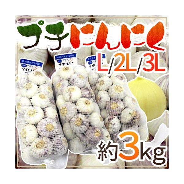 hv`ɂɂh L/2L/3L 3kg 