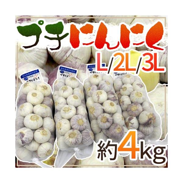 hv`ɂɂh L/2L/3L 4kg 