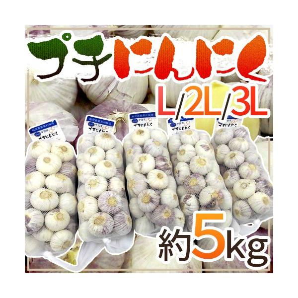 hv`ɂɂh L/2L/3L 5kg 