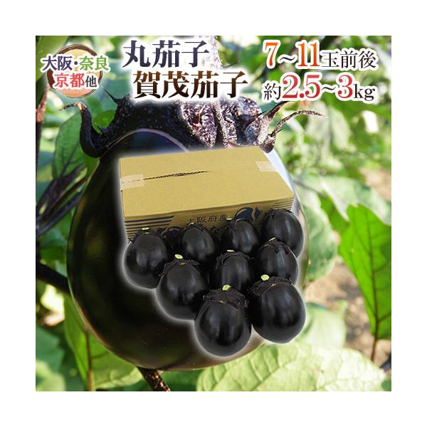 [Release date: May 10, 2025]【送料無料】焼き、揚げ、煮物に！！緻密で柔らかく風味豊かな果肉は加熱調理にピッタリ！！京料亭でも引っ張りだこの「丸茄子」「賀茂茄子」をお届けします♪/2.5キロ/爆買
