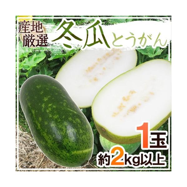 h~ZiƂjh 1 2kgȏ gEK/ΉZy\ ׎攭z