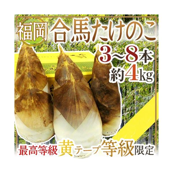 福岡 合馬産 ”たけのこ” 3〜8本 約4kg 化粧箱 最高等級 黄テープ 福岡 合馬産 ”たけのこ” 3〜8本 約4kg 化粧箱 最高等級 黄テープ