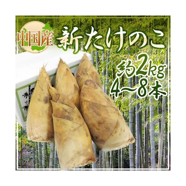 Y hV̂h 4`8{ 2kg ϔy\ 12ȍ~z