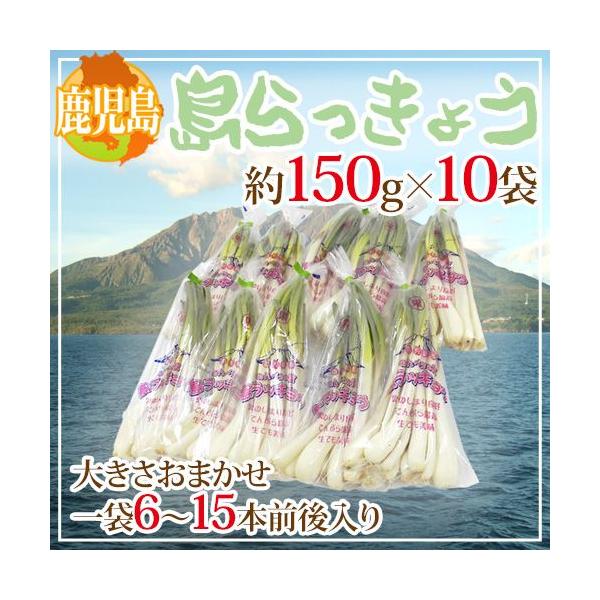  h傤h 150g×10 1.5kg 傫܂y\ 1ȍ~z 