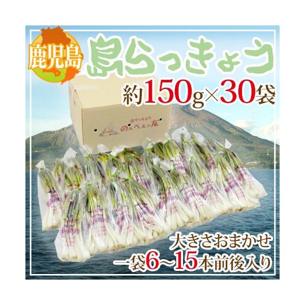  h傤h 150g×30 4.5kg 傫܂y\ 1ȍ~z 