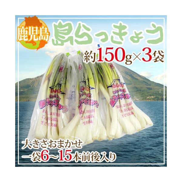  h傤h 150g×3 傫܂y\ 1ȍ~z