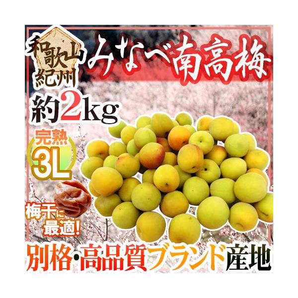 宅配 和歌山県 みなべ産 南高梅 完熟梅 梅干し 2kg 3L サイズ 3 i9tmg