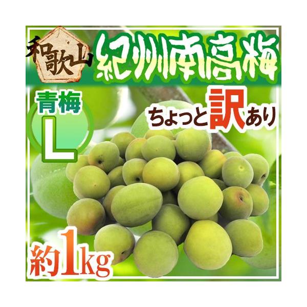 青梅 1kgの人気商品・通販・価格比較 - 価格.com 青梅 1kgの人気商品・通販・価格比較 - 価格.com