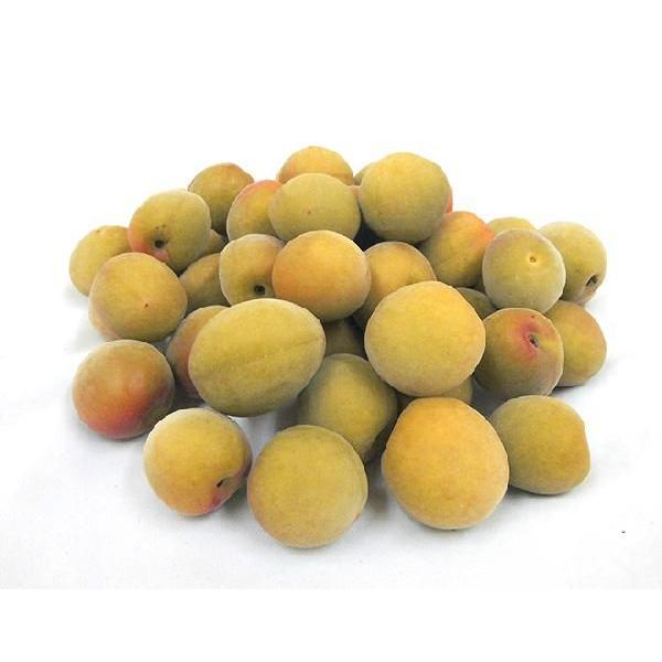 紀州・和歌山産”南高梅完熟” L 約10kg ちょっと訳あり【予約