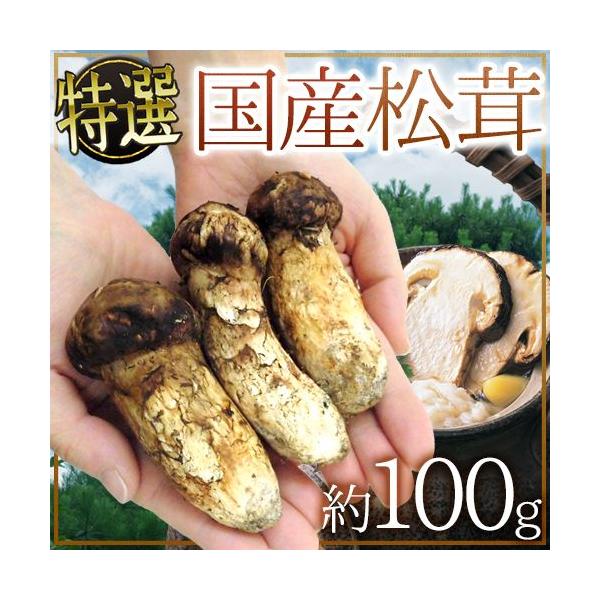 松茸の通販・価格比較 - 価格.com 松茸の通販・価格比較 - 価格.com