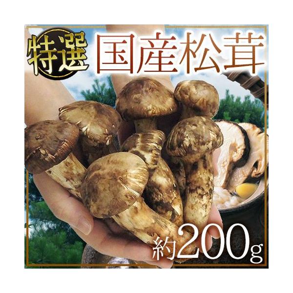 国産松茸” 約200g 大きさおまかせ 産地厳選【予約 9月下旬以降