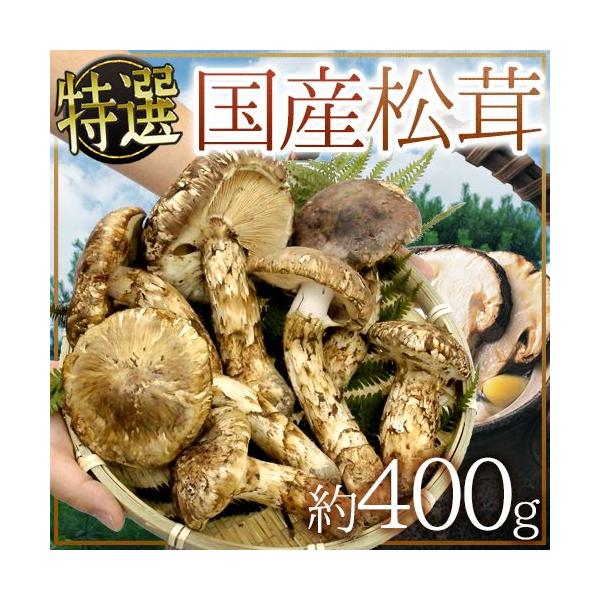 国産松茸” 約400g 大きさおまかせ 産地厳選【予約 9月下旬以降