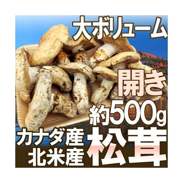 カナダ・北米産”松茸” 約500g 開き大きさおまかせ【予約9月| JChere