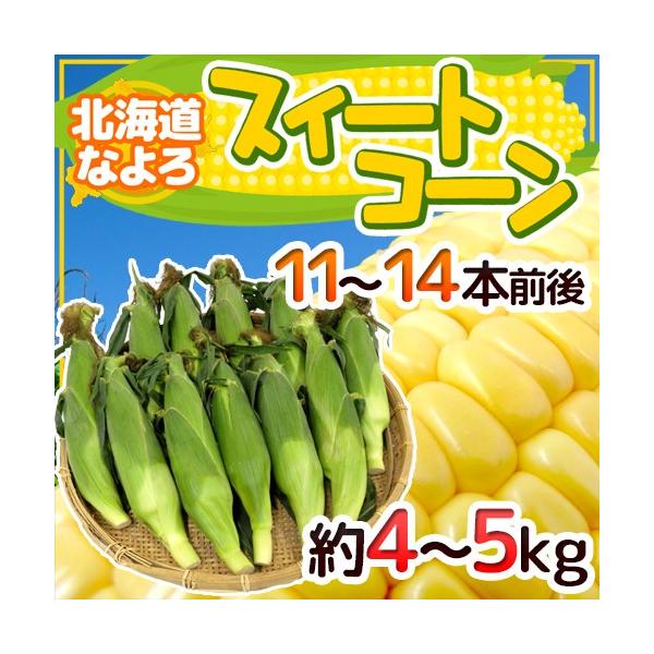 メロジョイ ノントースト 星月夜 ゴッホ 星5レア 和食 とうもろこし コーン mellojoy メロジョイ スクイーズ 和食シリーズ コーン