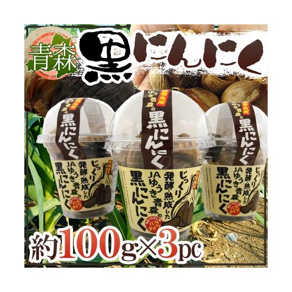 X JA䂤X hnɂɂh 100g×3pc o^Cvy\ ׎攭z 