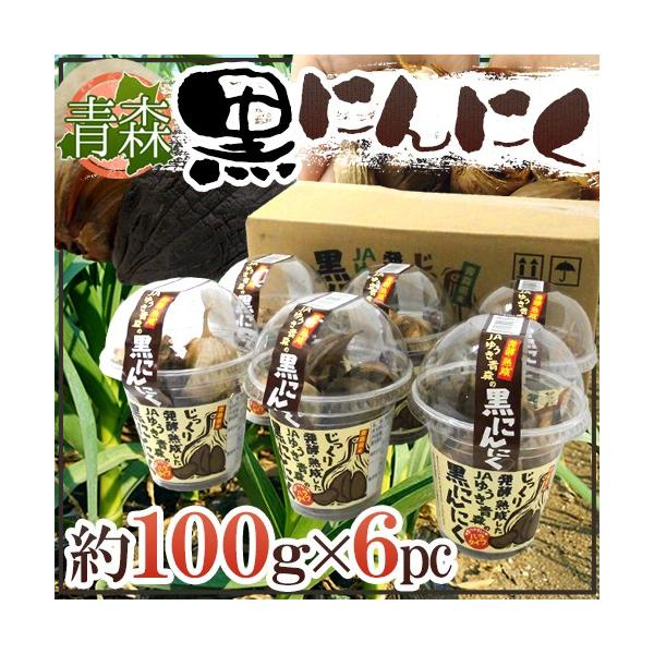 X JA䂤X hnɂɂh 100g×6pc o^Cvy\ ׎攭z 