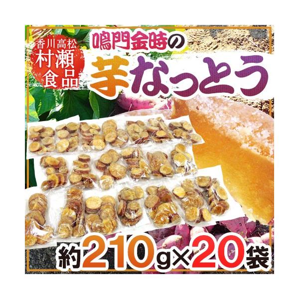 쌧  hȂƂh 210g×s20܁t J Hi [y\ 11ȍ~z 