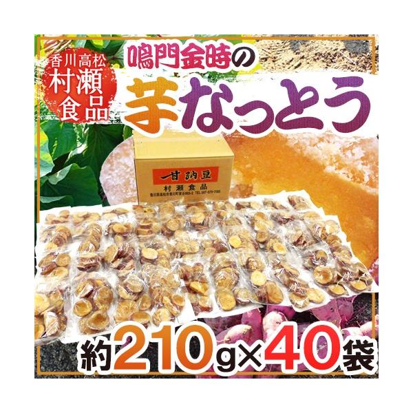 쌧  hȂƂh 210g×s40܁t J Hi [y\ 11ȍ~z 