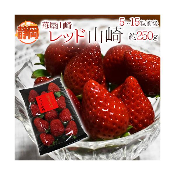 [Release date: January 25, 2026]【送料無料】甘酸っぱい濃厚な苺の超希少品種「レッド山崎」♪艶やかで深紅の姿は、インパクト抜群！通常より約1.5倍もの日数をかけた熟成いちごは驚異的な糖度に！レッド山崎/莓屋山崎...