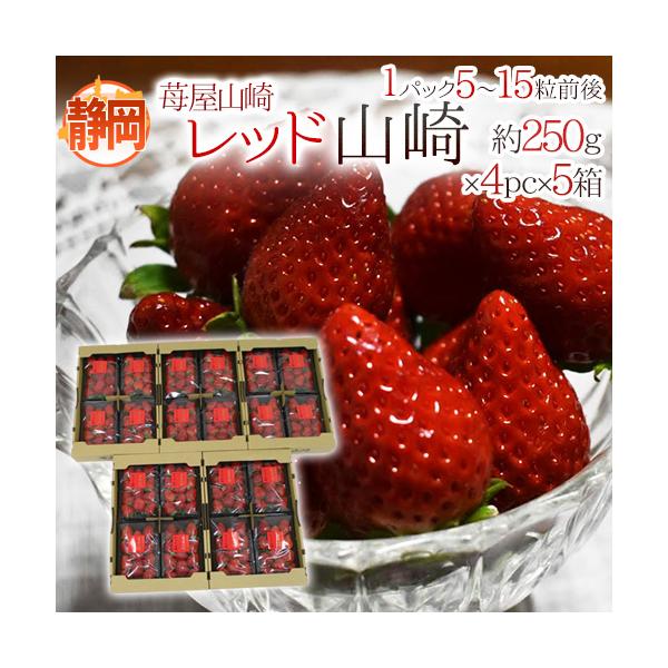 楽天市場】佐賀 ”いちごさん” 秀品 3L〜5Lサイズ 約250g×2パック