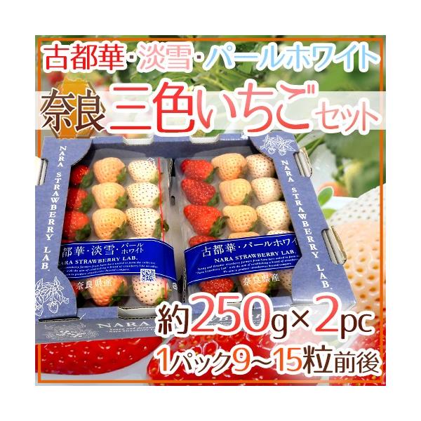 ޗǌY hOFZbgh 2pci1pc9`15O 250gjÓs؁EWEp[zCgy\ 12`1ȍ~z 