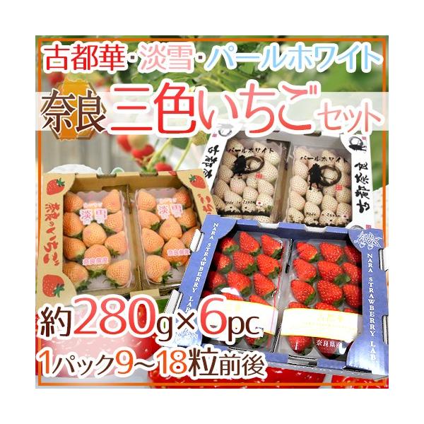 ޗǌY hOF 3Zbgh 2pci1pc9`18O 280gj×3 Ós؁EWEp[zCgy\ 12`1ȍ~z 