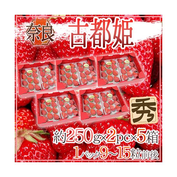 [Release date: January 10, 2026]【送料無料】2021年に新品種として登録出願申請された「古都姫」！高糖度希少新品種で鮮やかな紅色は見栄えも古都華を引き継ぐ「優美な甘い香り」もバツグンです！ことひめいちご/古都...