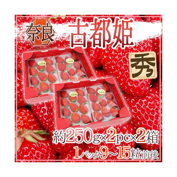 [Release date: January 10, 2026]【送料無料】2021年に新品種として登録出願申請された「古都姫」！高糖度希少新品種で鮮やかな紅色は見栄えも古都華を引き継ぐ「優美な甘い香り」もバツグンです！ことひめいちご/古都...