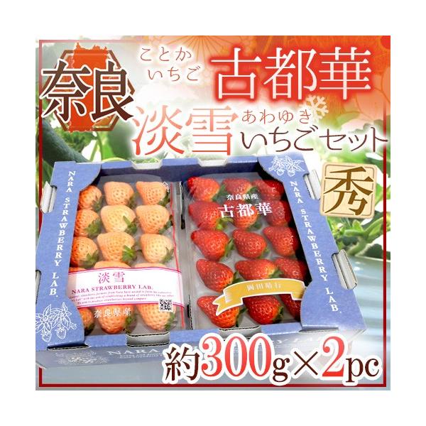 ޗǌY h WႢ{Ós؂ gZbgh 2pci1pc300gjy\ 12`1ȍ~z 