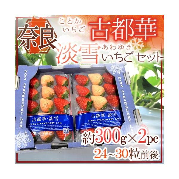 ޗǌY h WႢ{Ós؂ FgZbgh 2pci1pc12`15 300gjy\ 12`1ȍ~z 