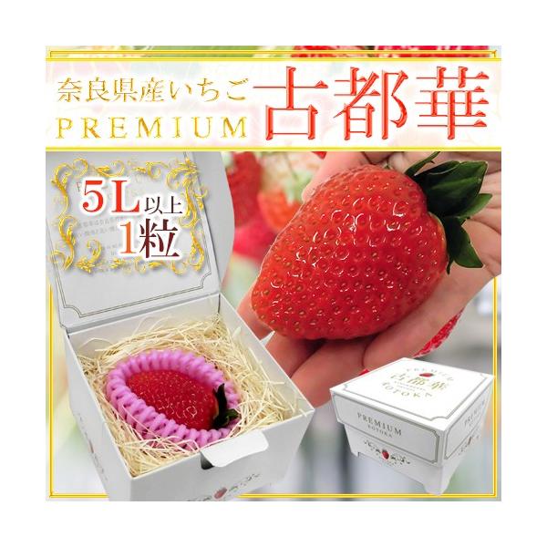 [Release date: January 31, 2026]【送料無料】注目の奈良県限定！華やかで雅やか、香りと酸味、甘さのバランスがバツグン！高糖度希少新品種「古都華いちご」鮮やかな紅色は見栄えもバツグンです！宝石箱のような専用化粧箱...