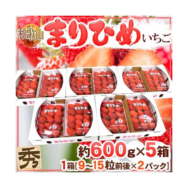 a̎R h܂Ђ߂i{P䕁jh Gi 2pbNi1pbN 9`15 300gj×s5ty\ 12ȍ~z 