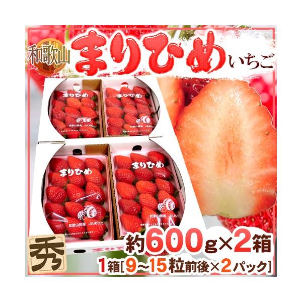 a̎R h܂Ђ߂i{P䕁jh Gi 2pbNi1pbN 9`15 300gj×s2ty\ 12ȍ~z 