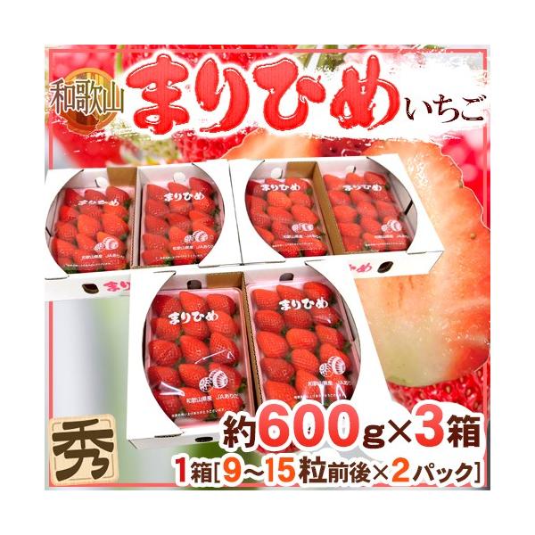 a̎R h܂Ђ߂i{P䕁jh Gi 2pbNi1pbN 9`15 300gj×s3ty\ 12ȍ~z 