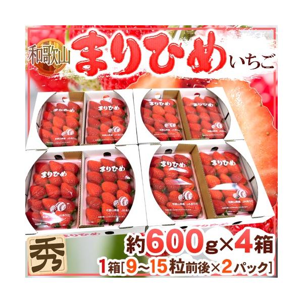 a̎R h܂Ђ߂i{P䕁jh Gi 2pbNi1pbN 9`15 300gj×s4ty\ 12ȍ~z 