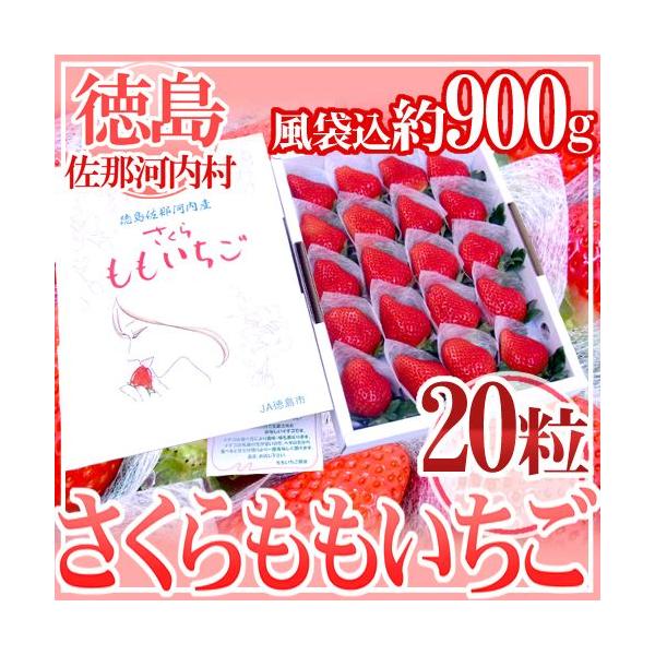 【送料無料】"あの"ももいちごの妹分♪TVや雑誌でも取り上げられたももいちごよりも甘い！との声もある期待の新品種♪生産者十数件のみの超希少品種です♪/フルーツ/果物/爆買