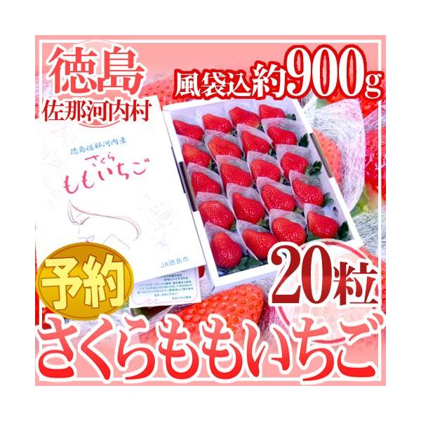 ߉͓Y hh 嗱20 ϔy\ 12ȍ~z 