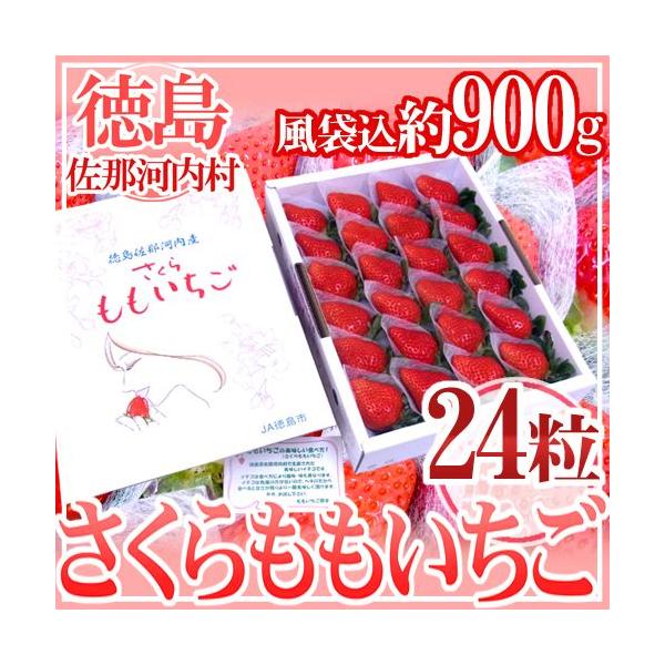 【送料無料】"あの"ももいちごの妹分♪TVや雑誌でも取り上げられたももいちごよりも甘い！との声もある期待の新品種♪生産者十数件のみの超希少品種です♪/フルーツ/果物/爆買