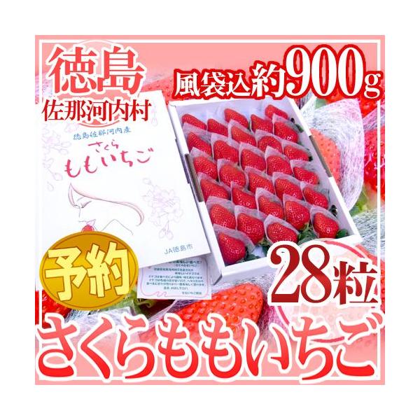 ߉͓Y hh 28 ϔy\ 12ȍ~z 