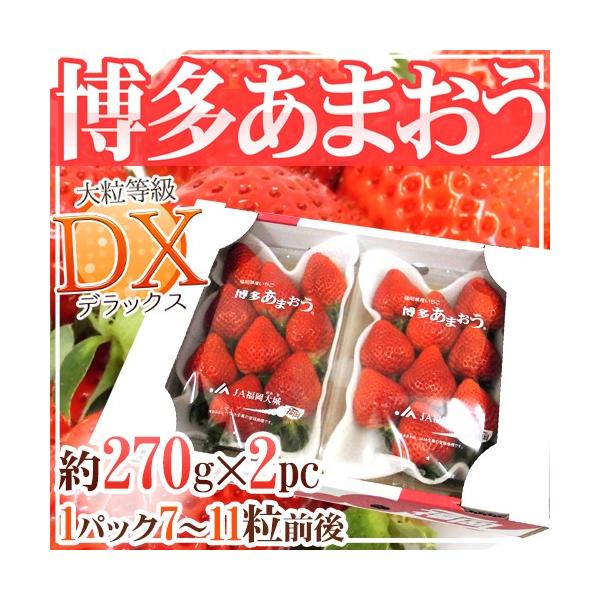 「おいしいいちごの代名詞」あまおうの中でも大粒で美しい「あまおうDX：デラックス」！一口噛むと口の中にジュワっと広がる甘酸っぱい果肉で夢心地♪驚きのボリュームで食べ放題です！/博多あまおう/甘王/いちご/イチゴ/苺/フルーツ/果物/爆買