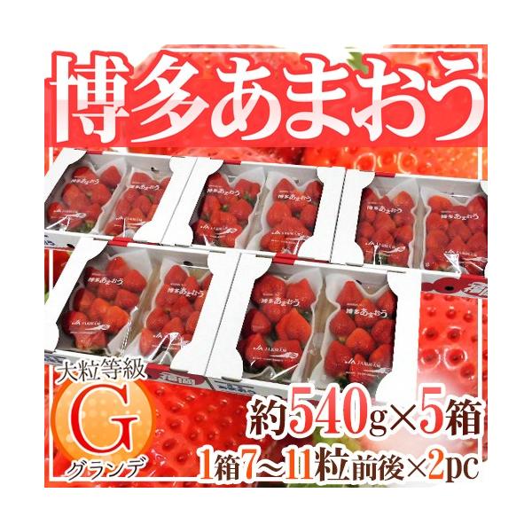 【送料無料】「おいしいいちごの代名詞」あまおうの中でも大粒♪食べごたえ抜群の「あまおうG：グランデ」を驚きの価格でご提供！一口噛むと口の中にジュワ〜っと広がる甘酸っぱい果肉で夢心地♪/博多あまおう/甘王/いちご/イチゴ/苺/フルーツ/果物/爆買