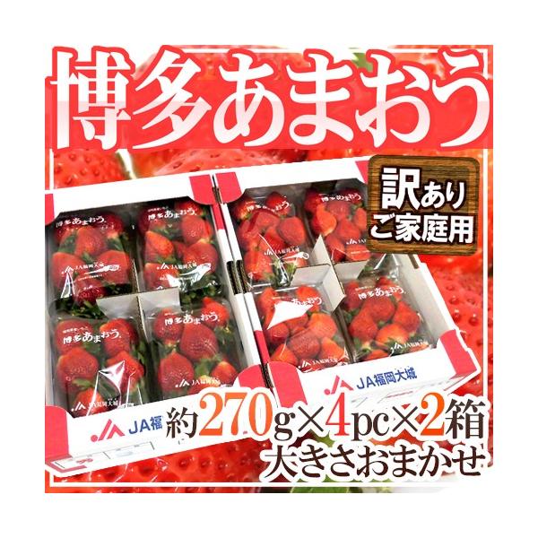 Y  h܂h 󂠂 270g×4pbN×s2ty\ 12ȍ~z 